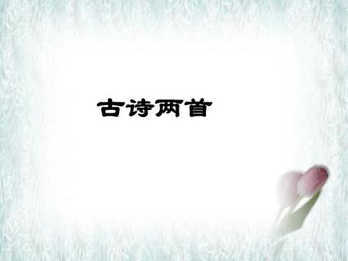 重写“隐居寻求者不见面”