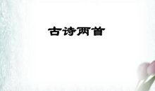 《寻隐者不遇》改写