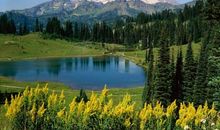 这就是我的心声