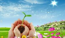 尊重生命珍惜生命