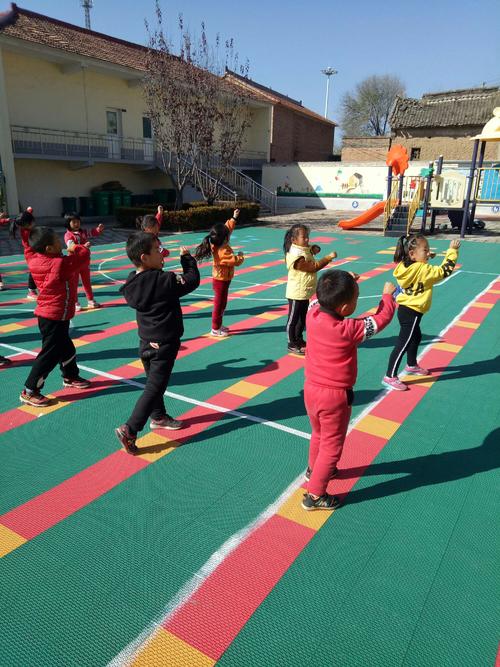 体操表演的启示