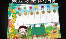 观察日记300字植物