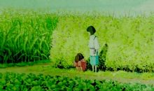 您是我想成为的人