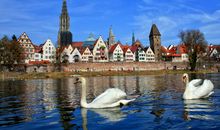 温和的老师最美的风景