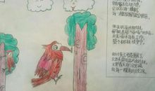 森林医生啄木鸟