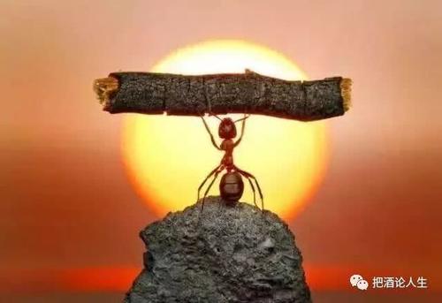 改变·给予·成长