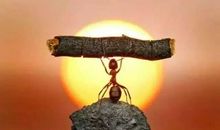 改变·付出·成长