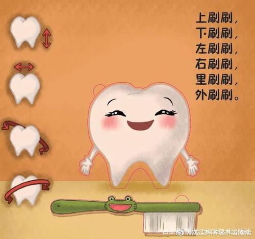 乳牙的退役