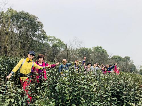 徒步春季郊游