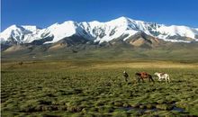 这片神奇的土地