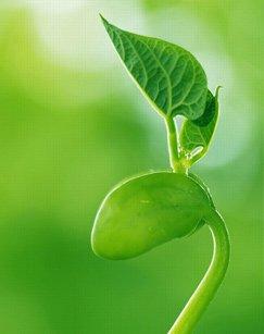 生活中的每一个奇迹