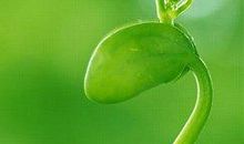 每一个生命的奇迹