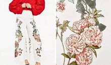 羡慕，只要看一眼就够了