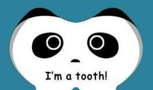 一颗牙齿的冒险