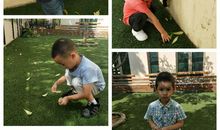 我与阳光有个约定