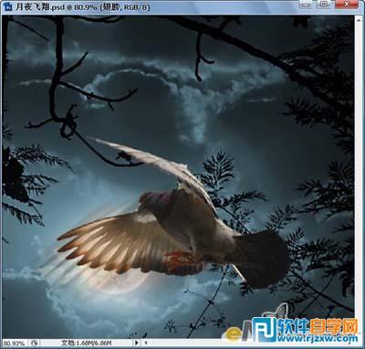 如果我成为鹰