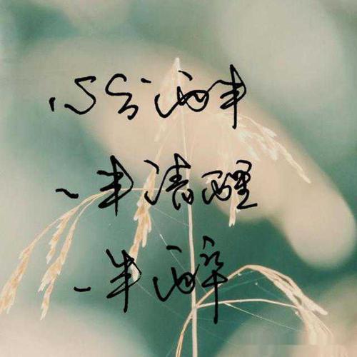 与您相约诗歌