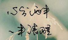 于诗词中与你相遇