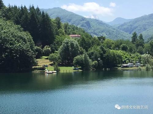 与森林对话
