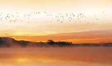 梦让生活更美好