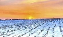 童年的茫茫雪地