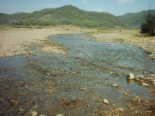 梦想小河
