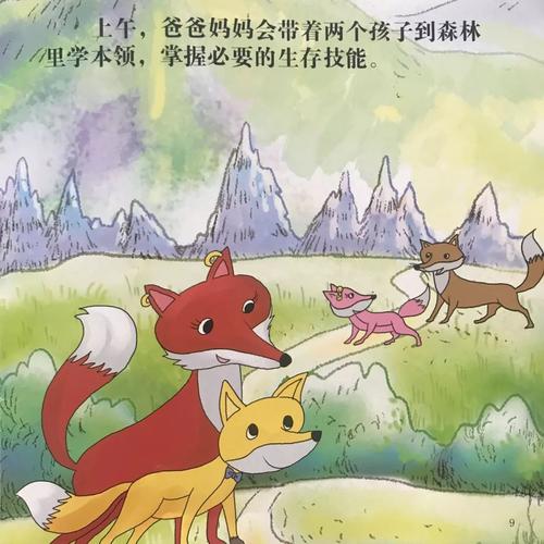 皮皮学习技巧