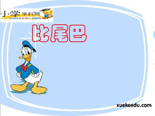 动物比尾巴组成