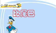 动物比尾巴作文