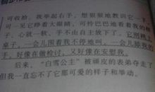 写一篇猫的作文