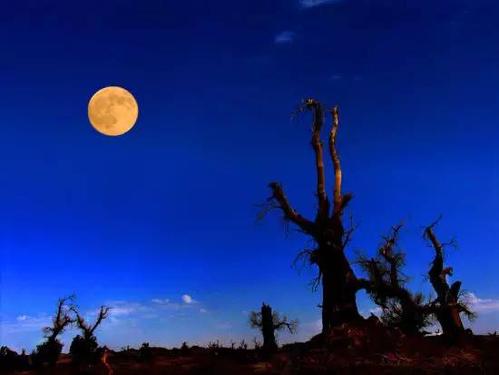 与明月一起出发