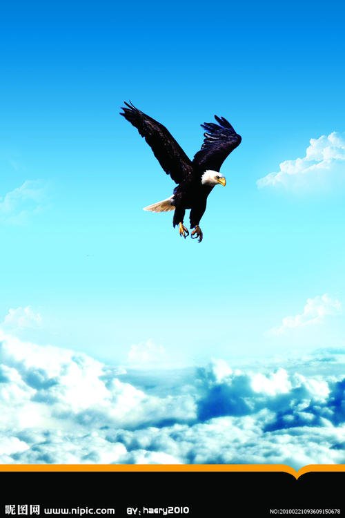 飞向天空