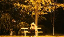 致夜晚的小美好