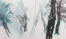 黄山飞来鹤游学