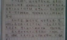 关于什么的建议书作文400字