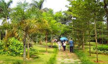 湖南省植物园导游词