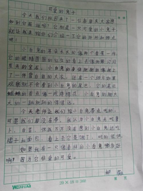 观察昆虫日记