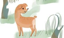 我们家的捣蛋大王