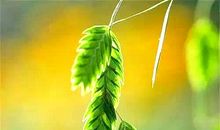 温暖的那一瞬间