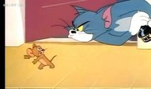 看图写话猫电脑老鼠