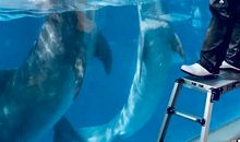 暑假游记—冲绳