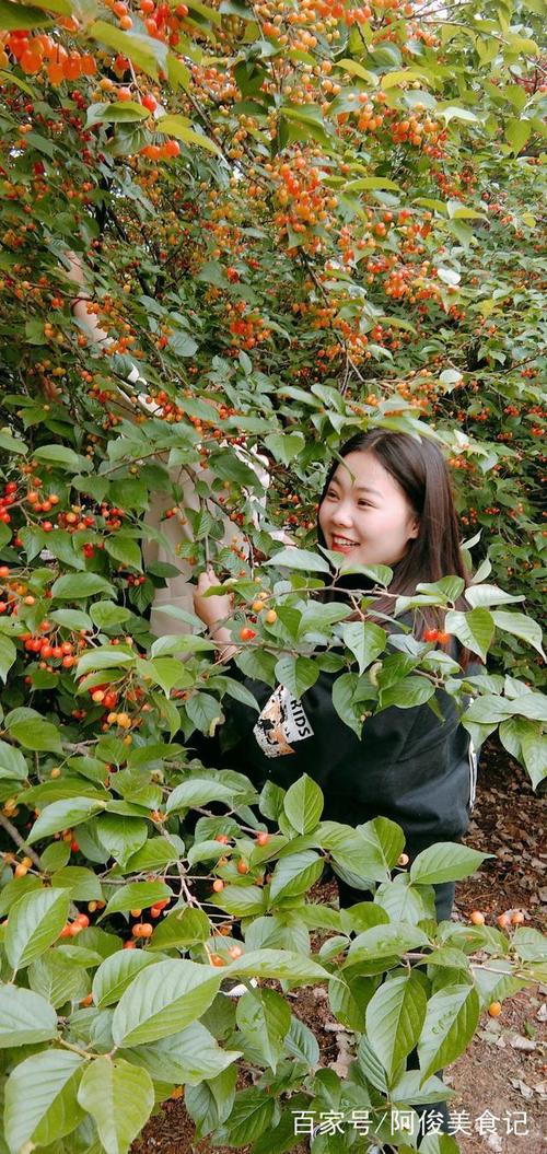 我的小猫妹妹