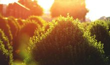 那天，阳光很暖