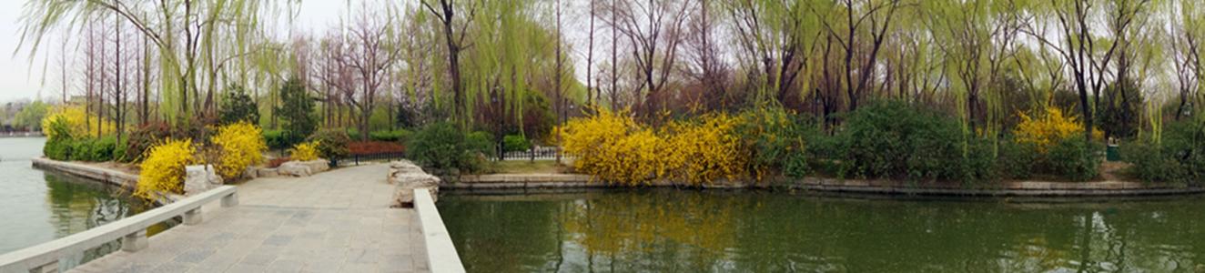 美丽的济南