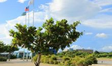 暑假游记—台湾