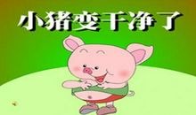 不爱干净的小猪