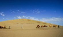 感谢你一路相伴