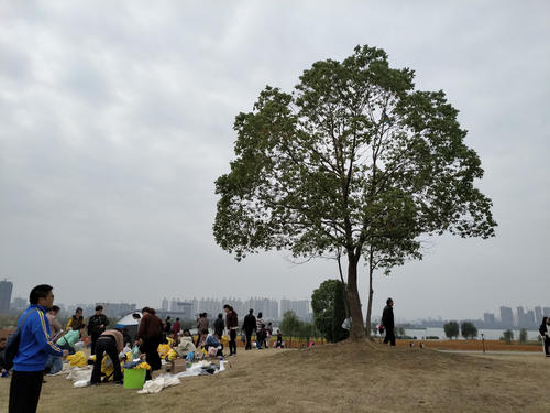 秋季野餐