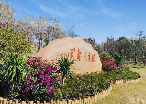 花开了，别错过