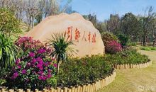 花开过，勿错过